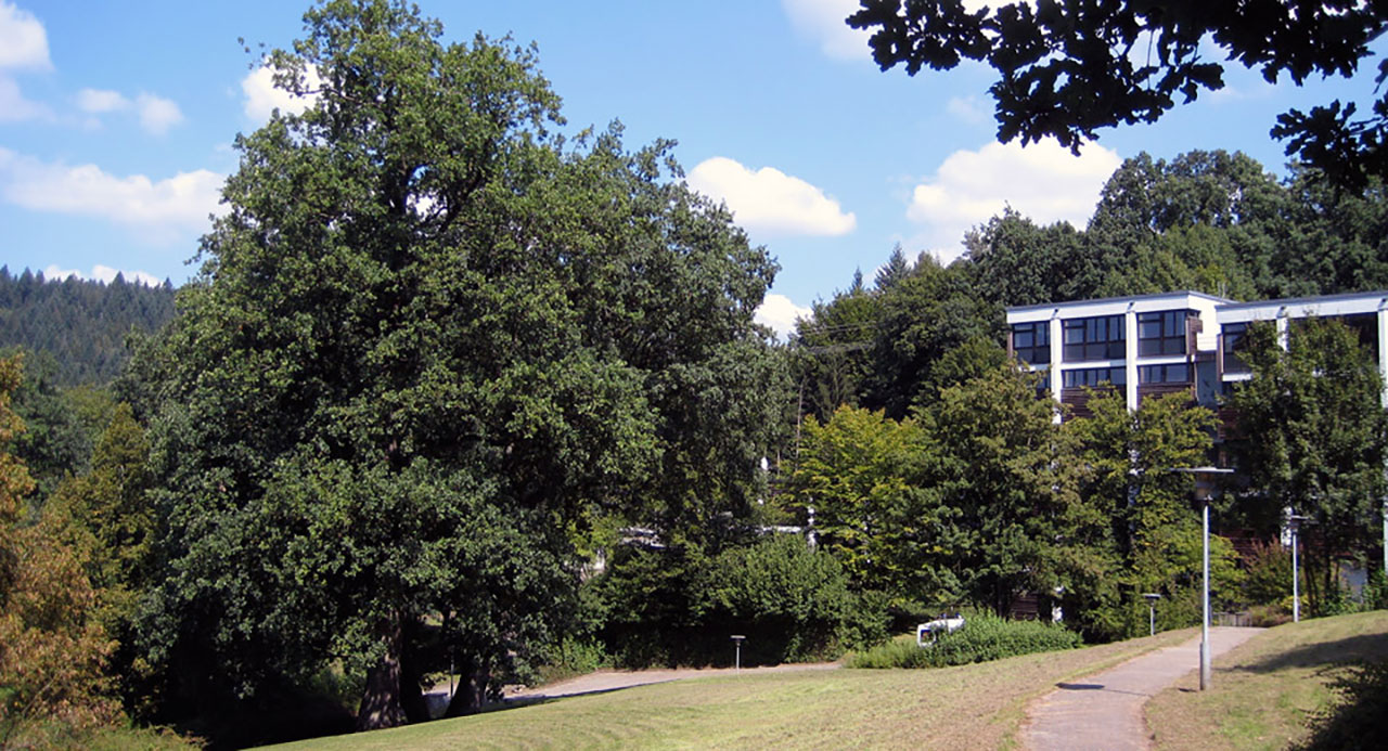 ABG Schwäbisch Gmünd – Rundgang 2008